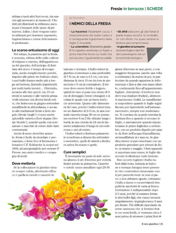 Il Mio Giar Feb-Mar 2022 (8)