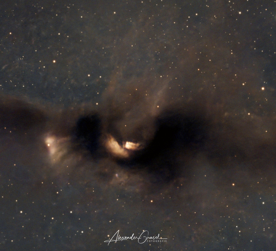 LDN43 Batnebel Ausschnitt Kopf