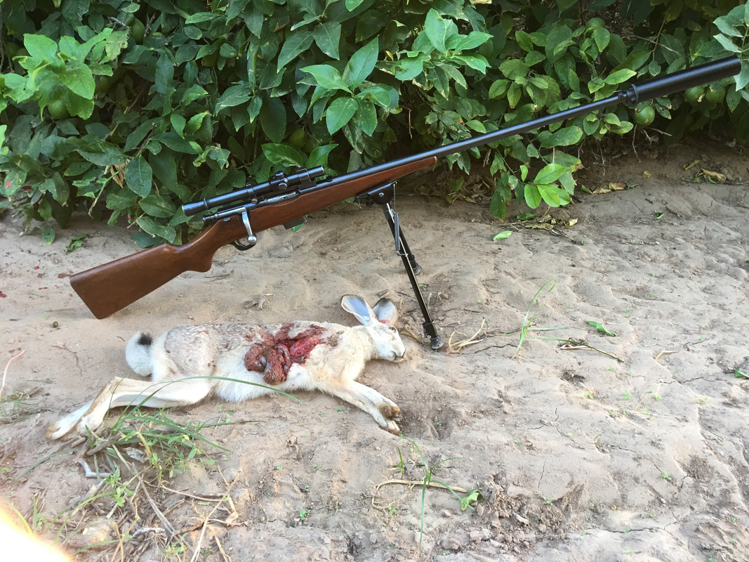 E39E57C2-AB72-4F82-95B0-307D16A50728