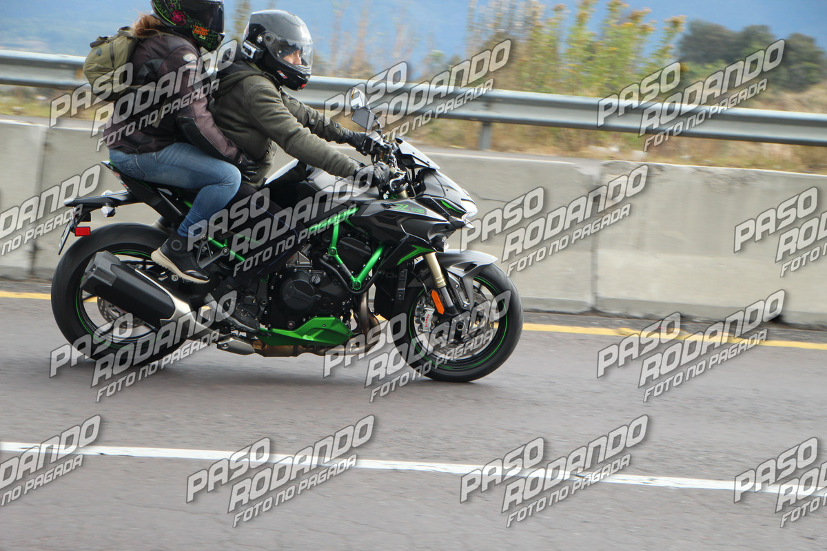 IMG 2780 wm 15240534 8 watermarked — Postimages