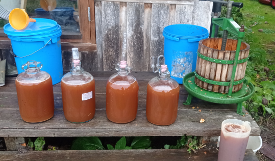 2022-12-02-155525_539x316_scrot