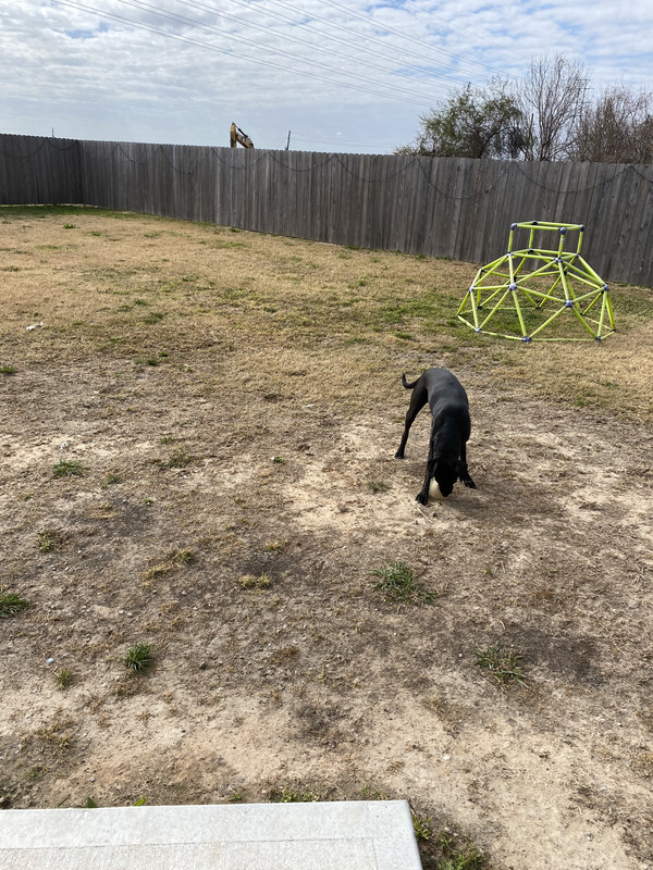 B54441F0-0A0F-44C7-9E95-8D6FB1A9D9A4