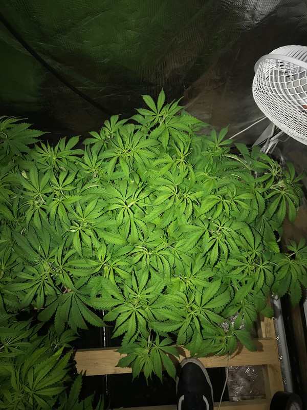 C69F2DEF-CA67-4957-B0E4-C6552FC56F3D