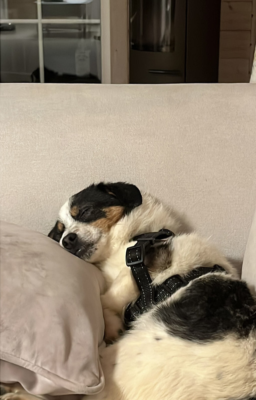 02105B7B-9F1F-479C-8882-5BAFDA0651B8