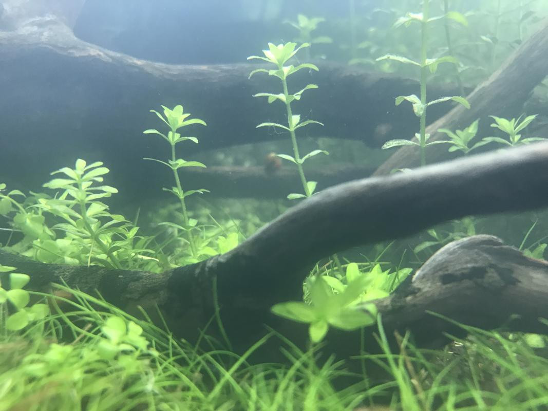 AE60FEE7-8857-48FD-AF7E-7B267EC14565