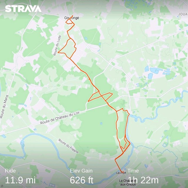 strava5366703250028966340.jpg