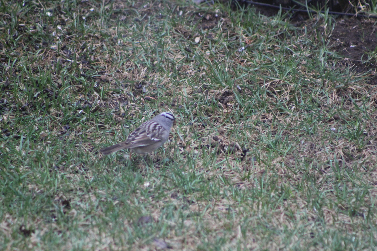 20220504085932_IMG_1009