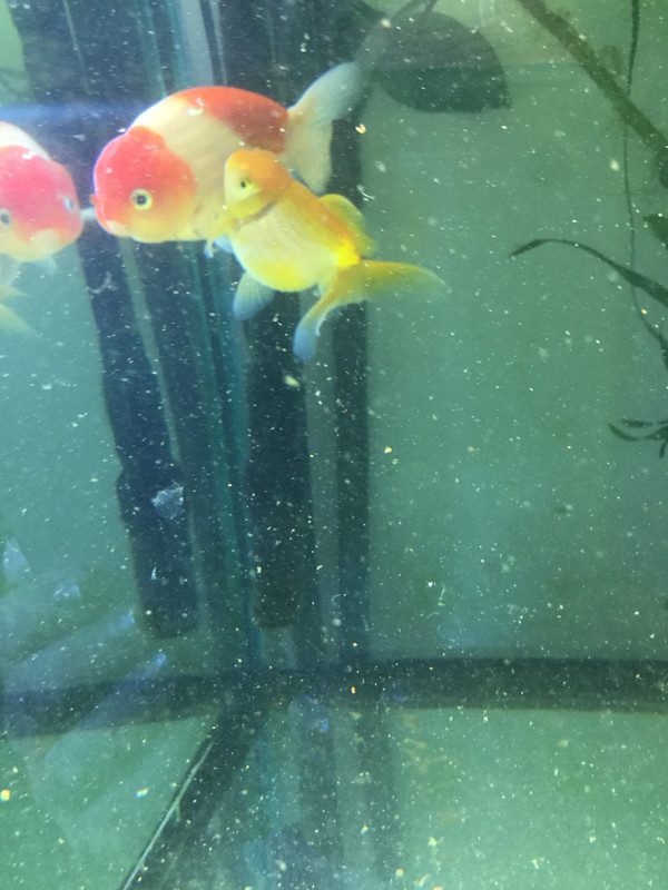 13419D52-734C-4461-B53C-E2CAF42B6EDA