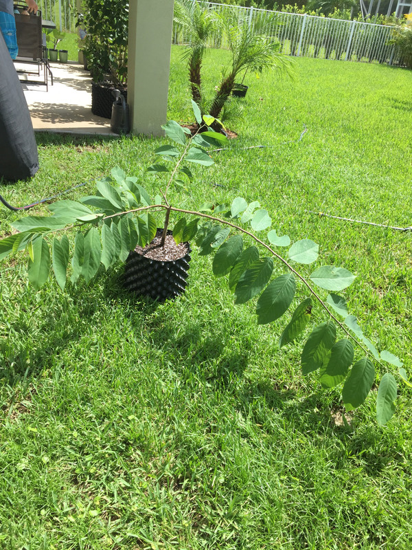 FE9B9056-1061-4497-B14E-CF54B5116C2B