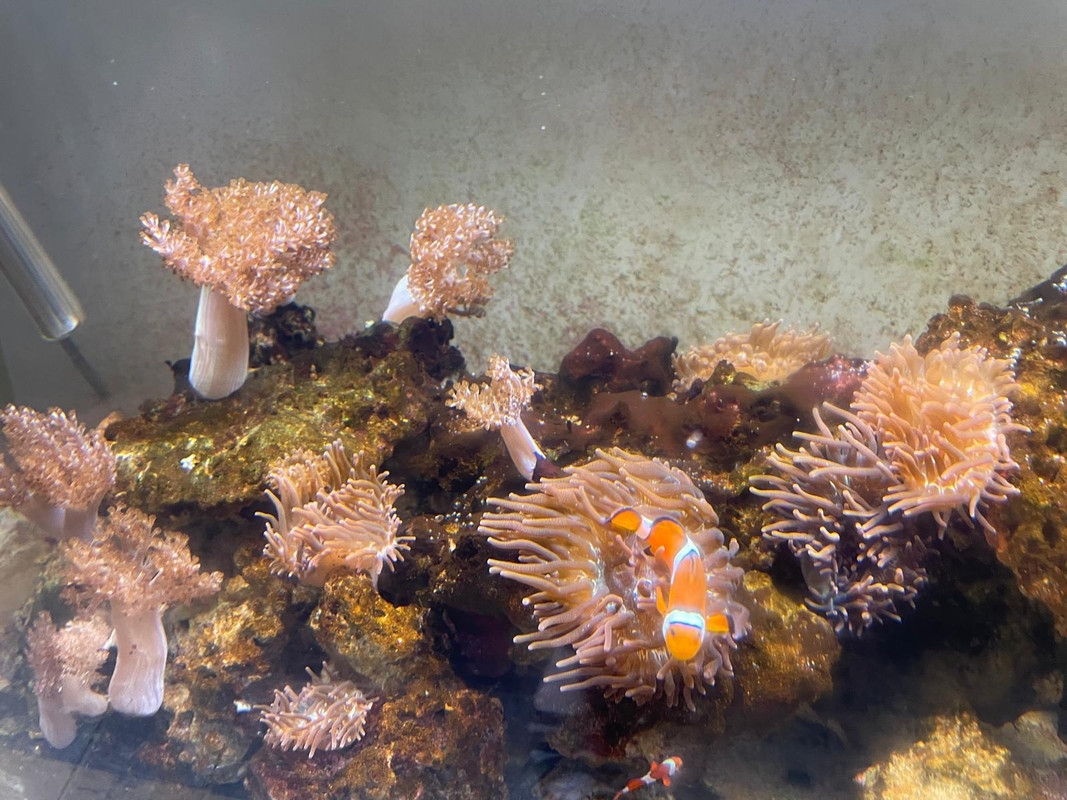 WhatsApp Image 2024-11-20 at 16.04.39 (3)