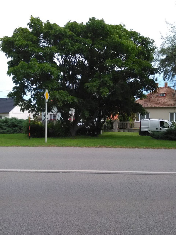 AC9B2B54-6DA9-45C6-8C9A-CA0F7D34702E