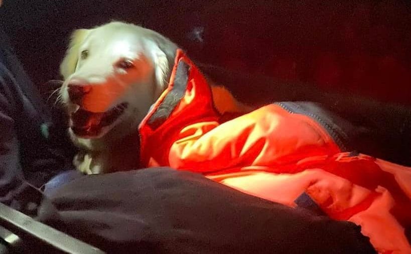 TELEMMGLPICT000305892882-trans-Nv-BQz-QNjv4-Bq-XP-c-HWfo9-Va-JAu-TKKI-h-Ljqm0g-YDcu6-VTA4m-KR8ma-VE