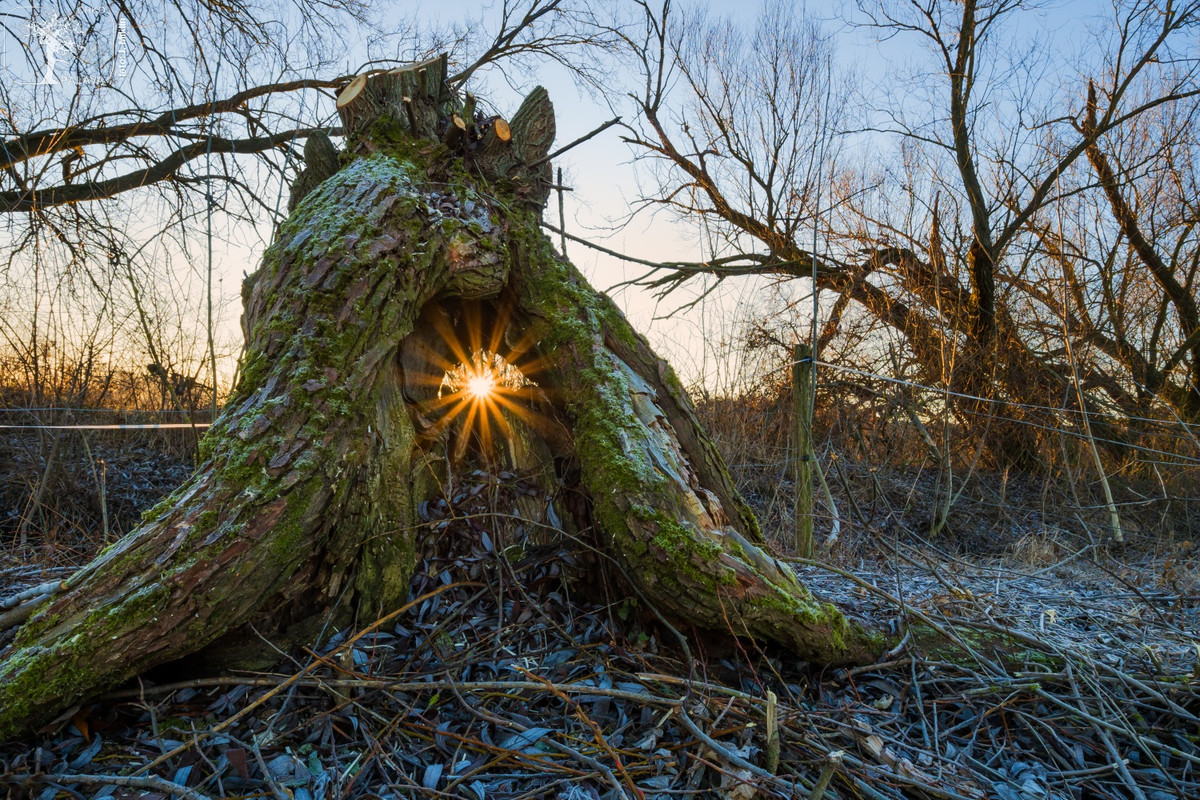 272134589_2073892856105789_3539999515031768465_n