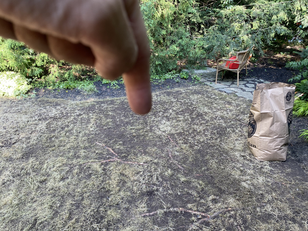 73375987-DE45-4AA7-9514-3A14523DC48D