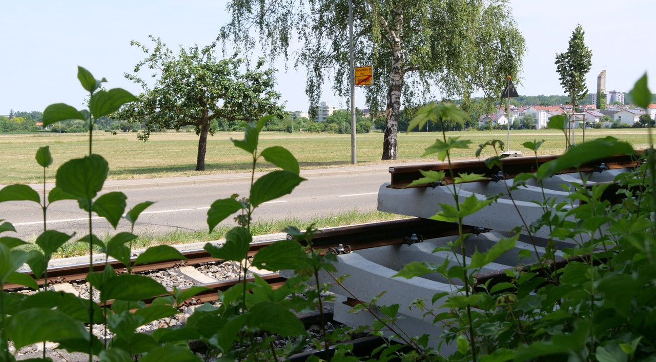 [Bild: 050725-114354b.jpg]
