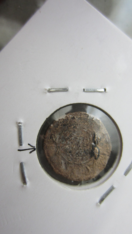 IMG 4751 — Postimages