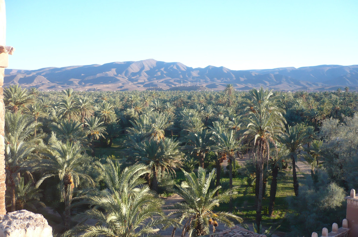 Agdz, Asslim y Tamnougalt : en la tierra de los Mezguita - El Valle del Drâa, la gran arteria del sur de Marruecos (46)