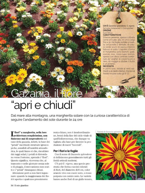 Il Mio Giar Ago-Set 2022 (5)