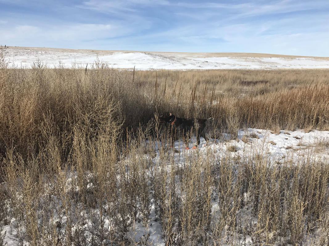 6BFC480B-1F22-48BF-A6CE-A3D41CE285F5