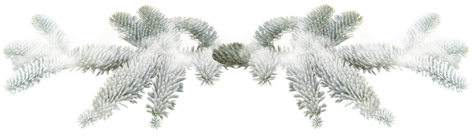 WINTER LOVE_DBJ-ELEM (51)