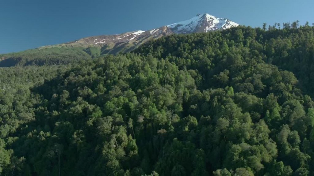 [Image: d01gcmdp8ph5.jpg]