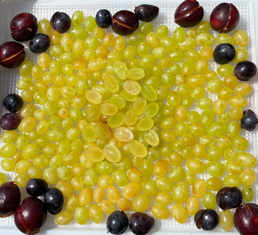 1E1ECC12-15F4-4197-AE47-739197D794F1