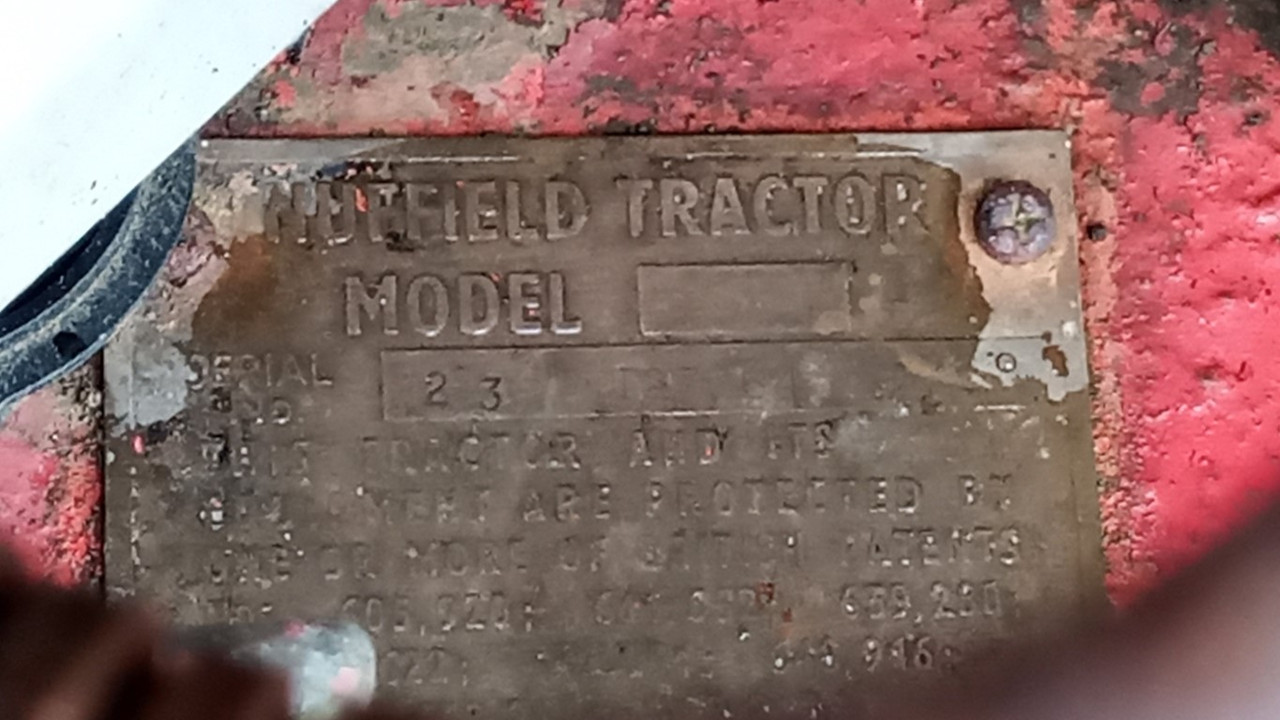 IMG_20220507_104919_0 (Medium)