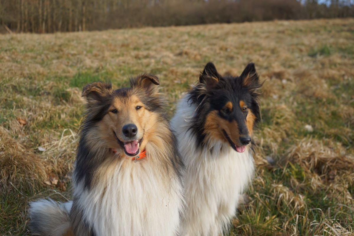 AB04A96D-F090-4062-92EB-DB017588F3A4