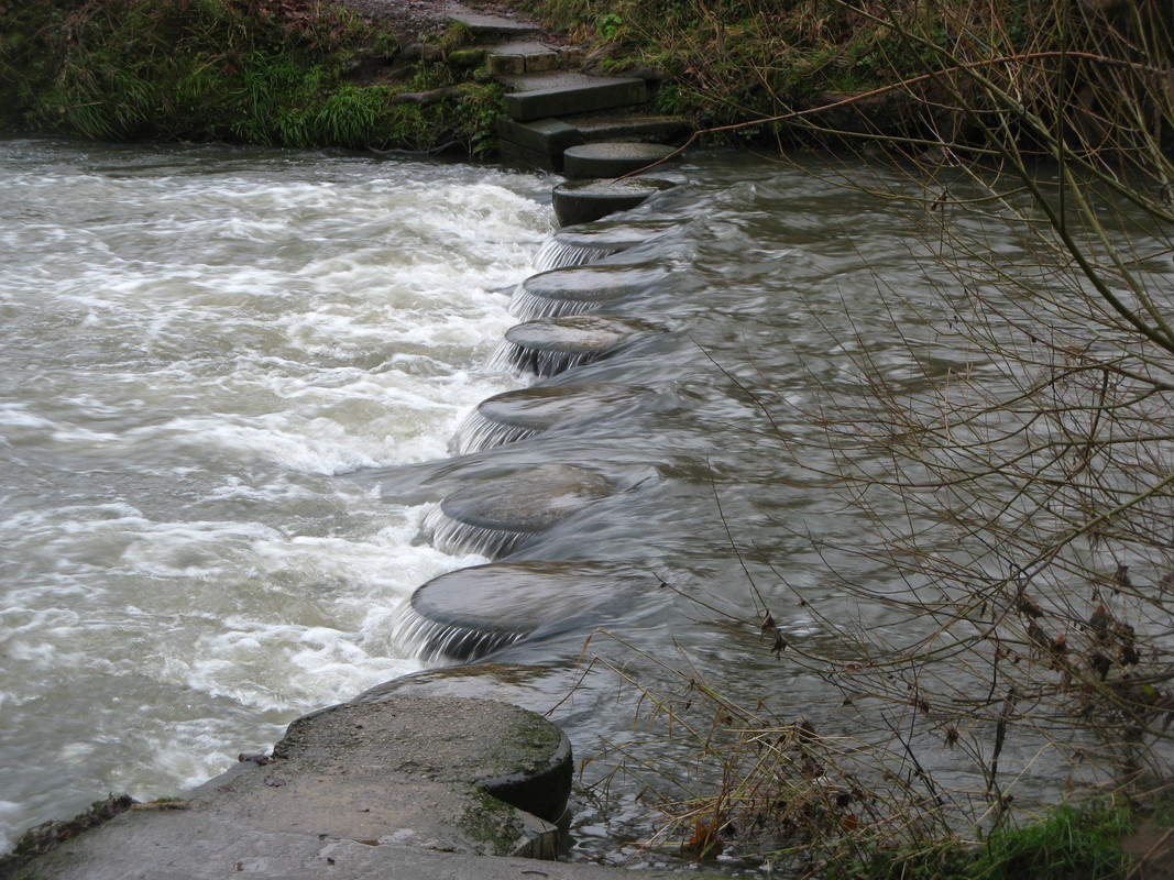 EB81A6FE-EDA4-4F48-B1AE-132996A8D831