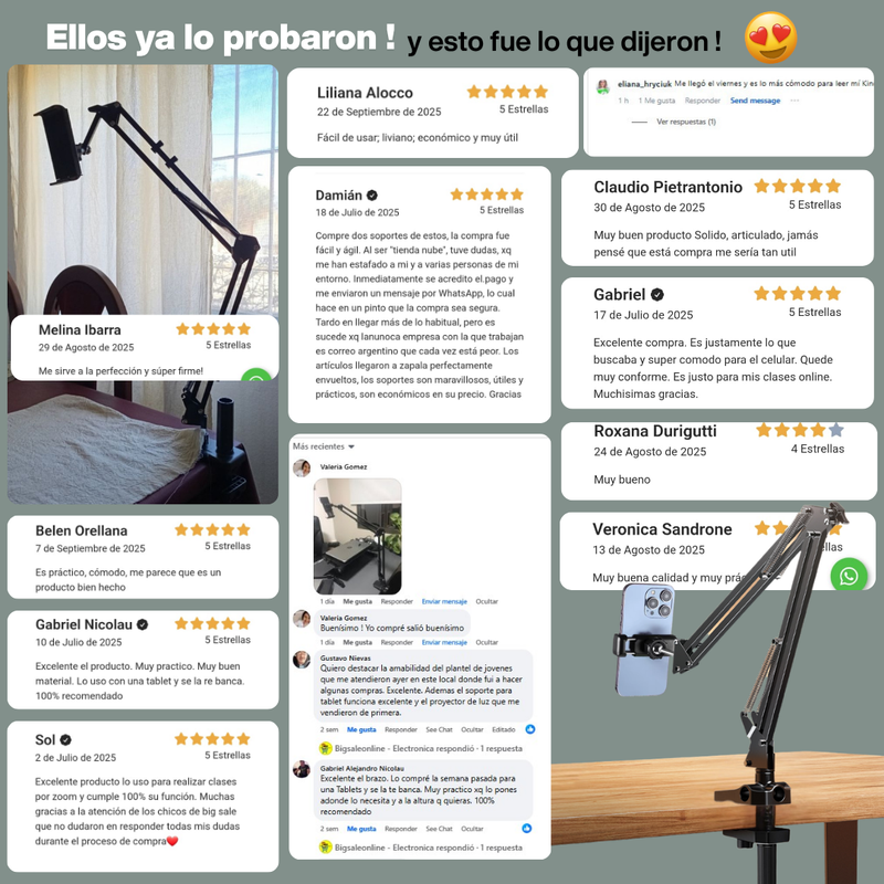 Opiniones de clientes sobre el soporte RAION