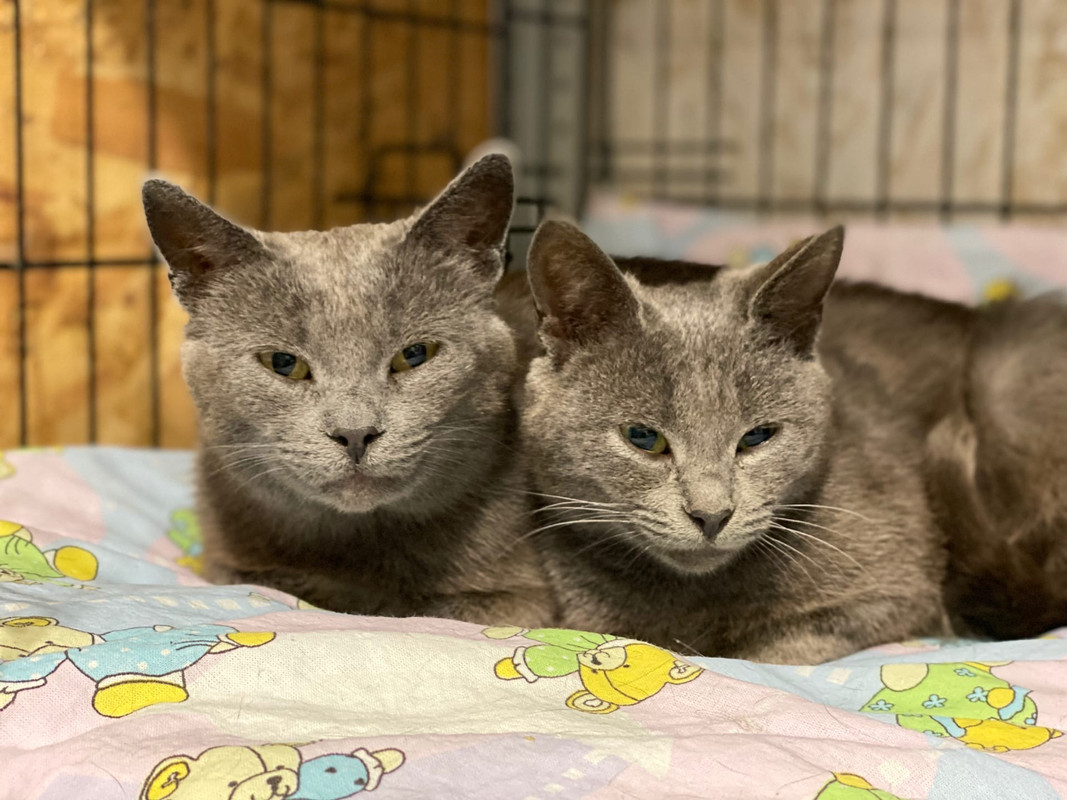 C4FABAEE-4699-4F1B-B1D9-EBE085603F6B