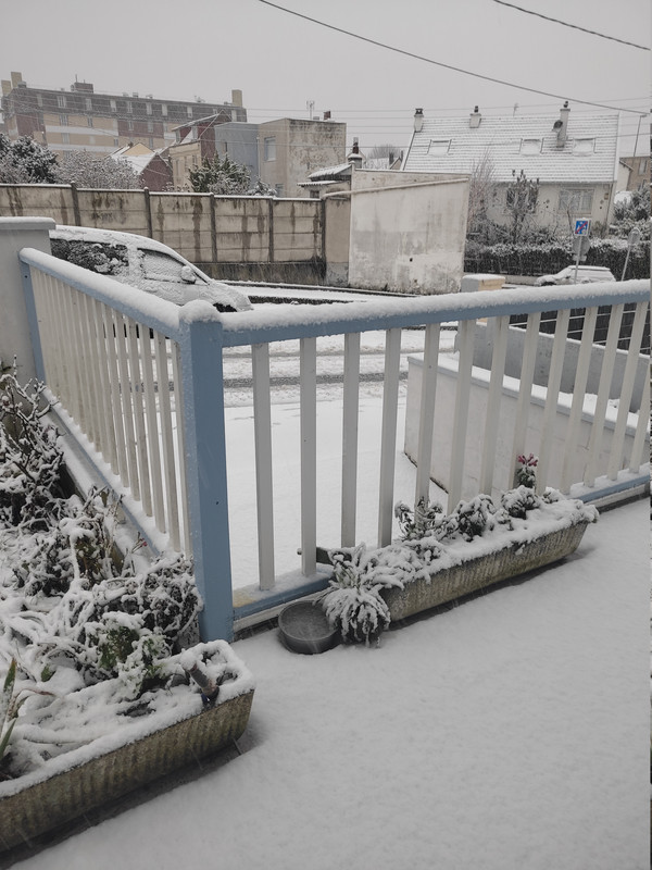 [Image: IMG-20260105-094034.jpg]