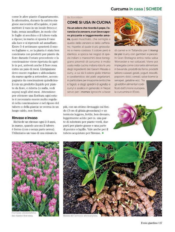 Il Mio Giar Dic 2022-Gen 2023 (4)