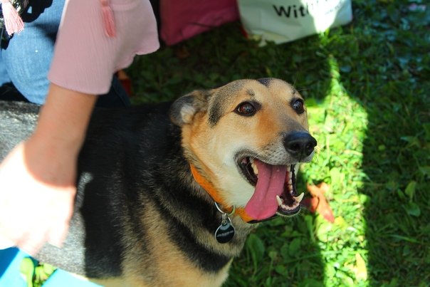 BF5936B6-745A-4943-B02F-4BD58987CD33