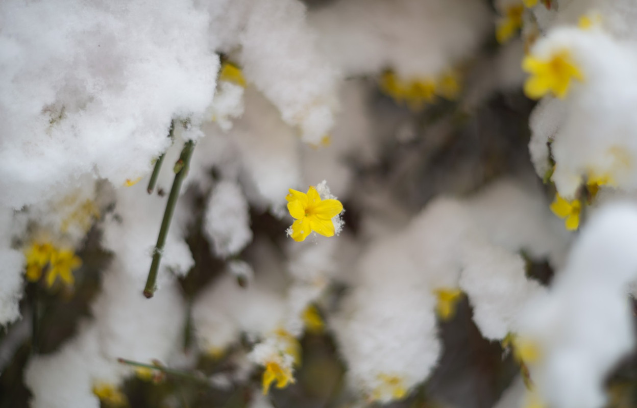 IMG-959c670d66e85a9bbd59e036c2b65b61-V