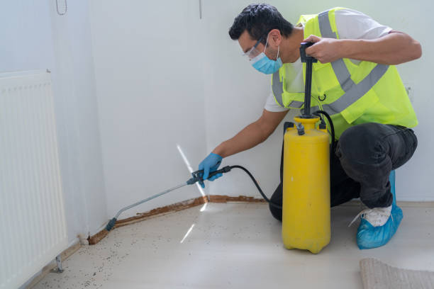 Pest Control Kissimmee