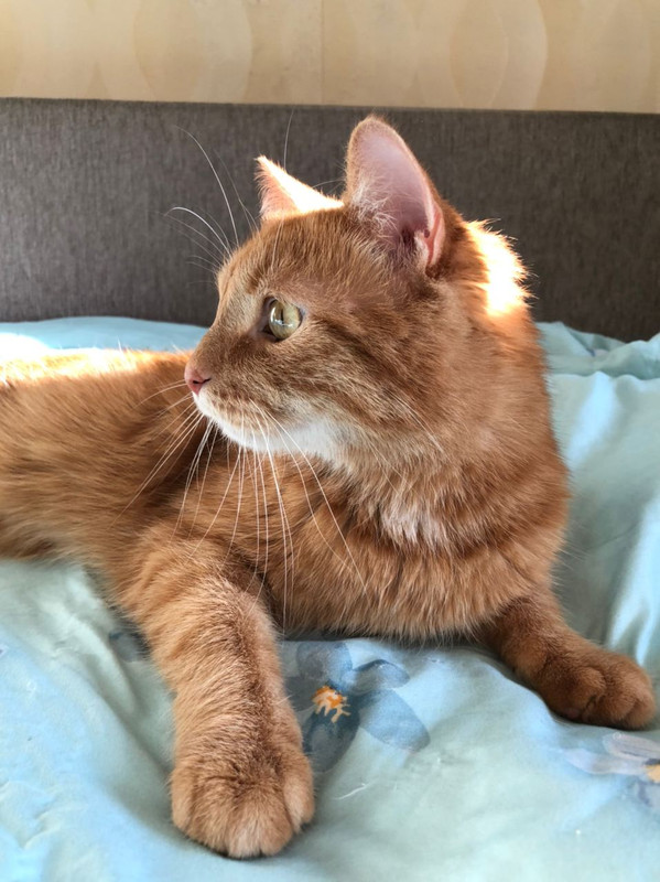 D10D6906-4340-4B69-BADA-D44DEF95957E