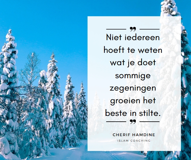 Schermopname-2-4-2025-95253-www-canva-com