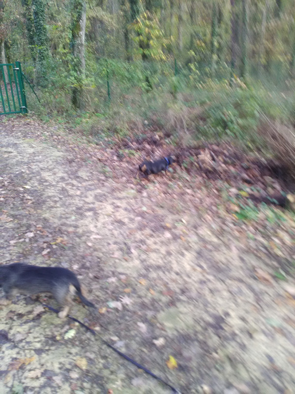 [Image: IMG-20221120-144813.jpg]