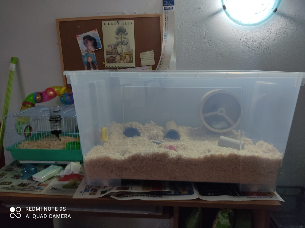 16158270867865253362544389675030