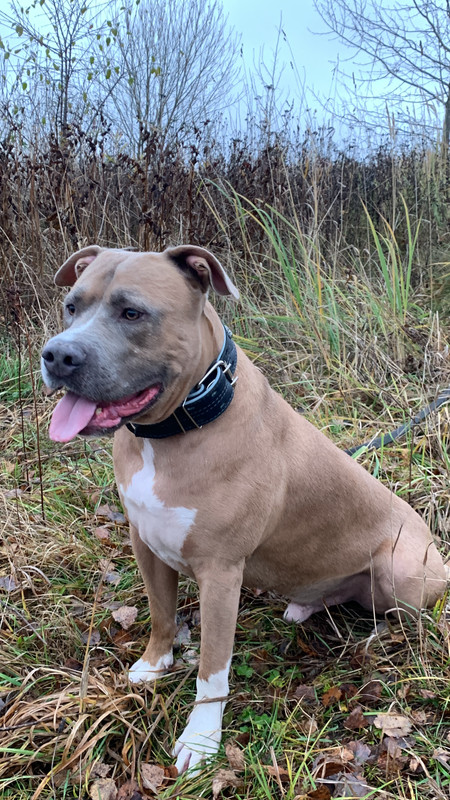 AE2EBAE8-A73A-4DFC-A5DE-5FD51E9E124B