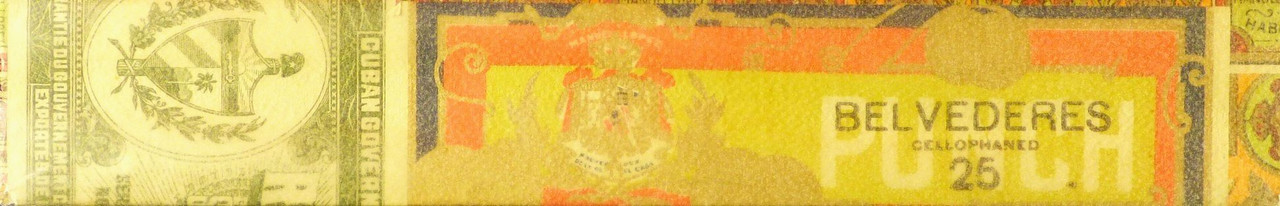 50998767176_a1d02264a5_o