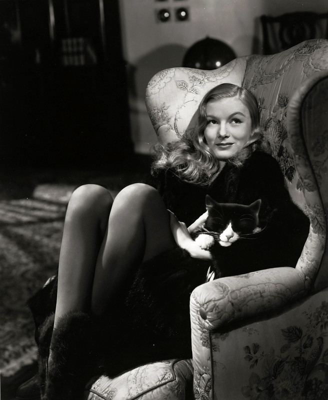 veronica_lake_md57
