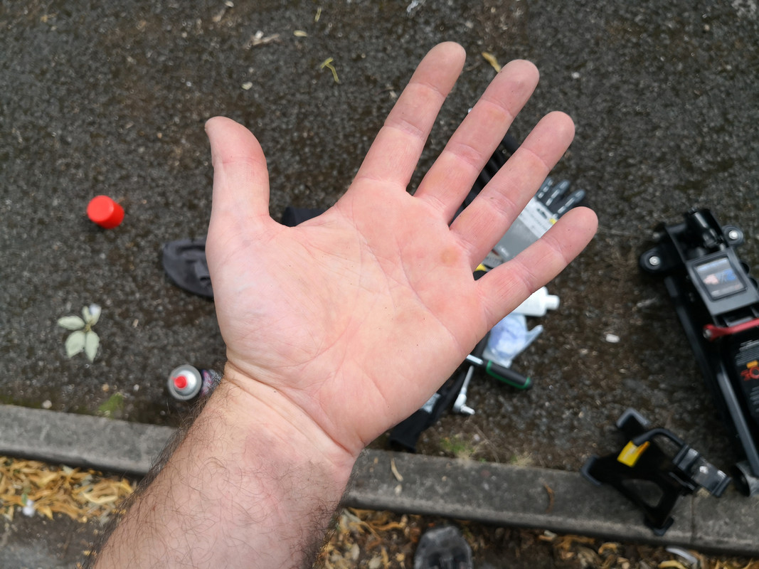 IMG-20190819-123334.jpg