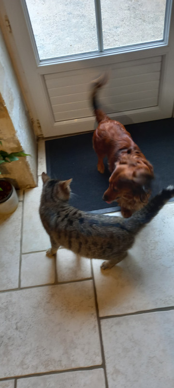 [Image: 20241125-113547.jpg]