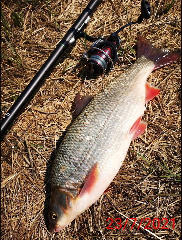 received_1734060143467353(1)