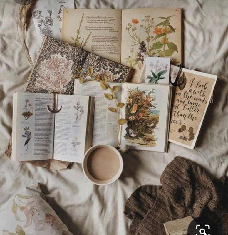 Screenshot_20231015_212131_Pinterest