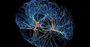 Opportunities, Limits and Ethical Issues: What Scenarios for AI in 2025?