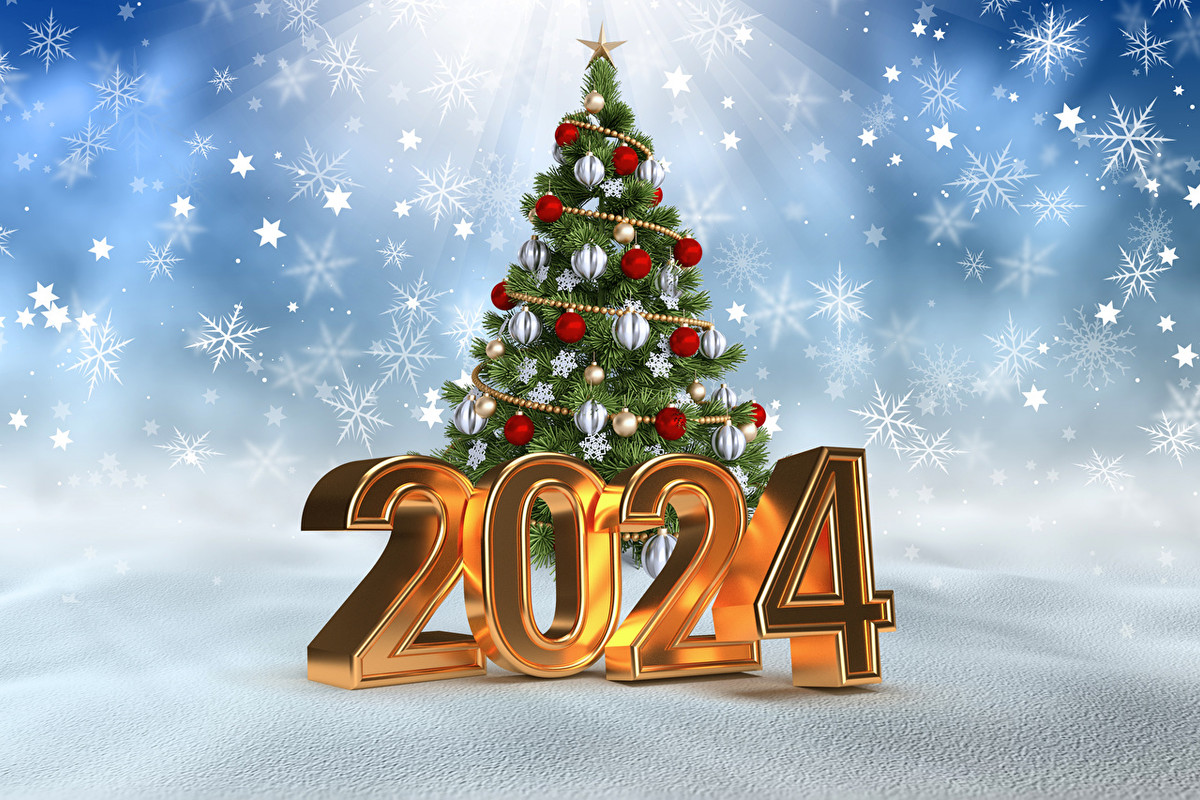 [Image: z-Christmas-Christmas-tree-2024-Snowflak...80x853.jpg]