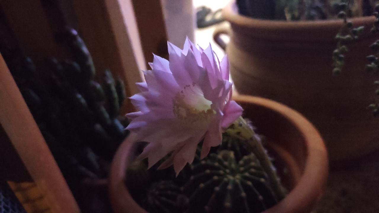 Imagen de WhatsApp 2023-08-03 a las 11.20.02